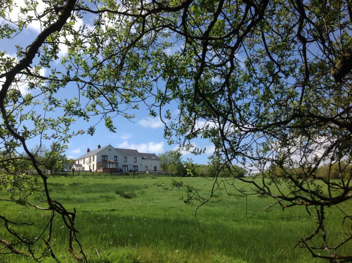 Penddaulwyn Uchaf Farm # Carmarthenshire Apartment Nantgaredig Exterior photo